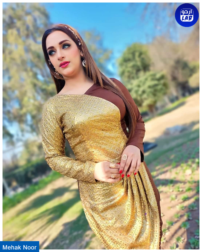 Top 10 Beautiful Pakistani Mujra Dancers in 2025 - Exclusive List 5 Mehak Noor