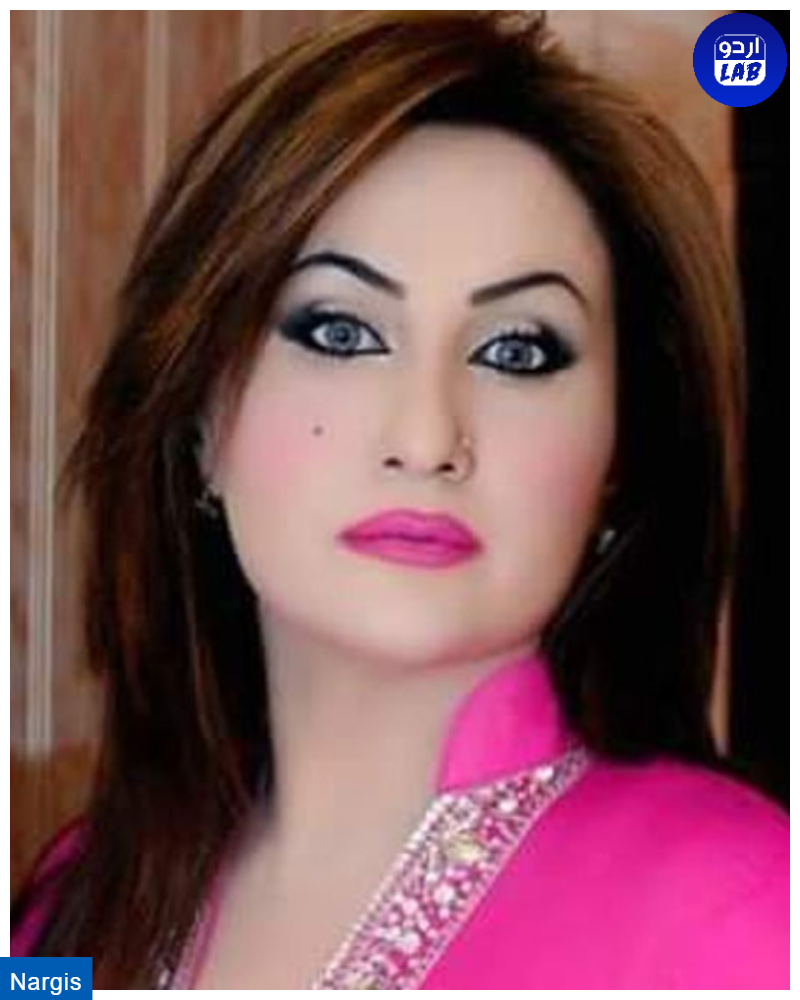 Top 10 Beautiful Pakistani Mujra Dancers in 2025 - Exclusive List 8 Nargis