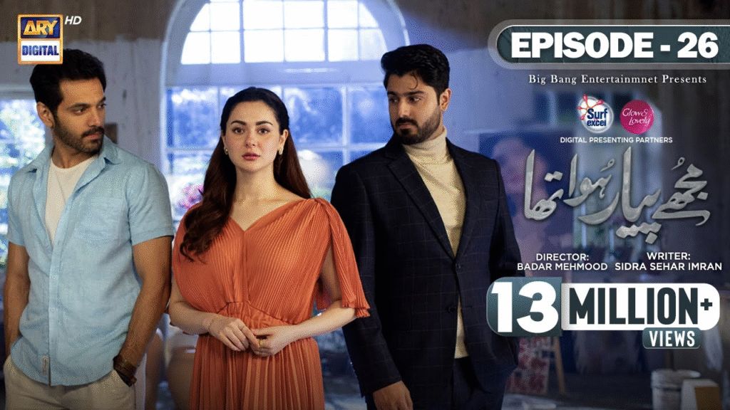 Top 10 Blockbuster Pakistani Dramas to Watch in 2025 – Must-Watch List 11 image