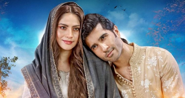 Top 10 Blockbuster Pakistani Dramas to Watch in 2025 – Must-Watch List 6 image