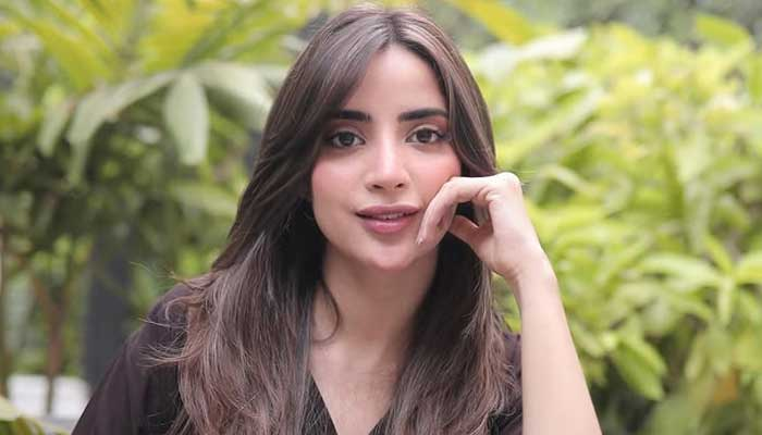 Top 20 Stunning Pakistani TV Actresses You Must Know 14 image