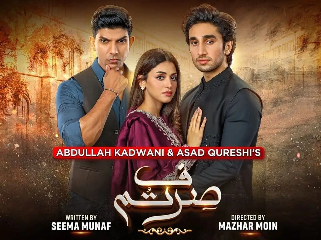 Top 10 Blockbuster Pakistani Dramas to Watch in 2025 – Must-Watch List 8 image
